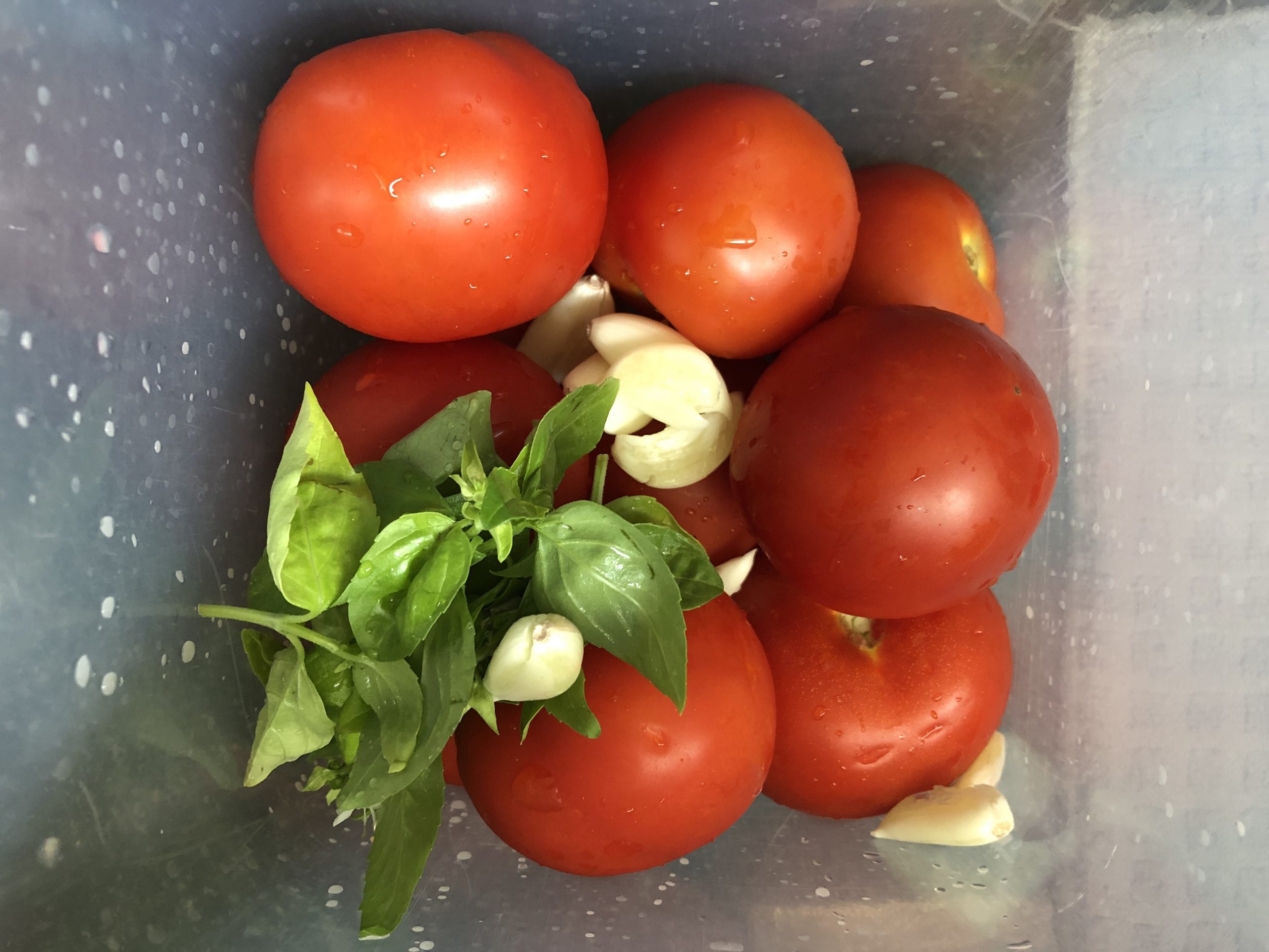 Tomato Gazpacho