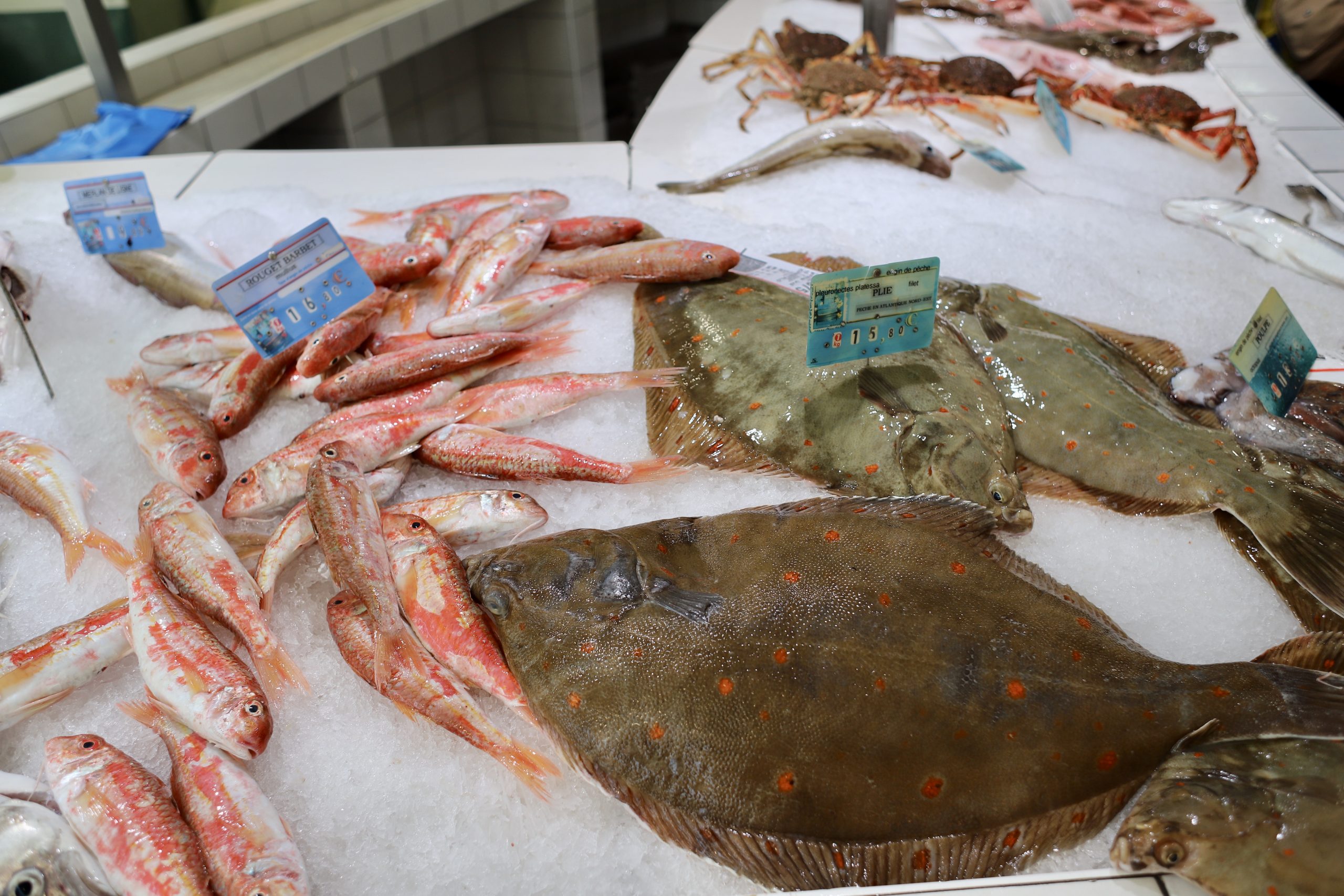 Fish Market in Auray