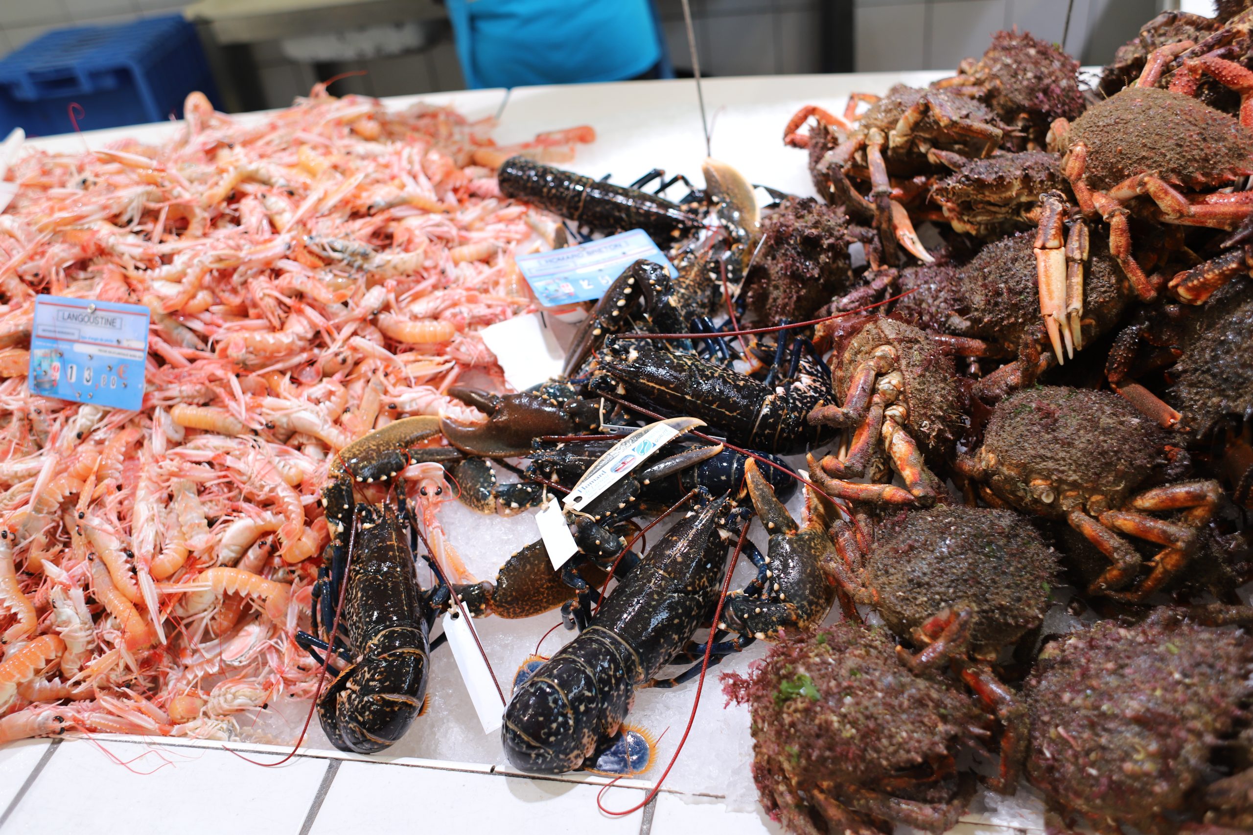 Fish Market in Auray