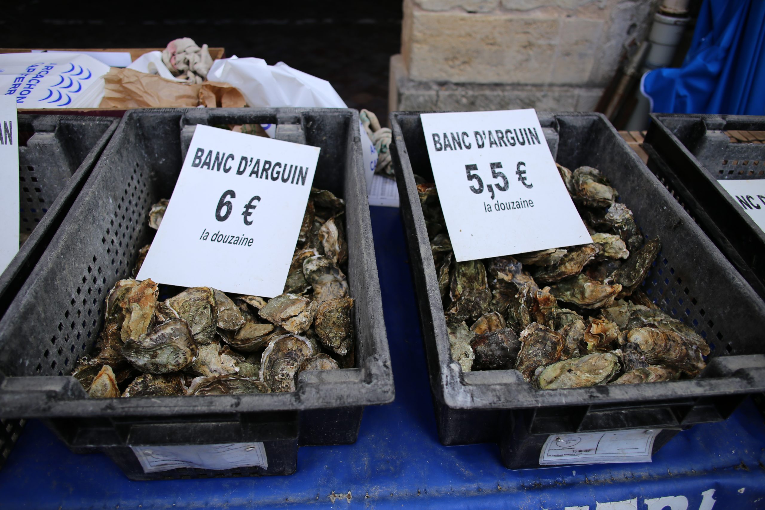Aquitaine oysters, France