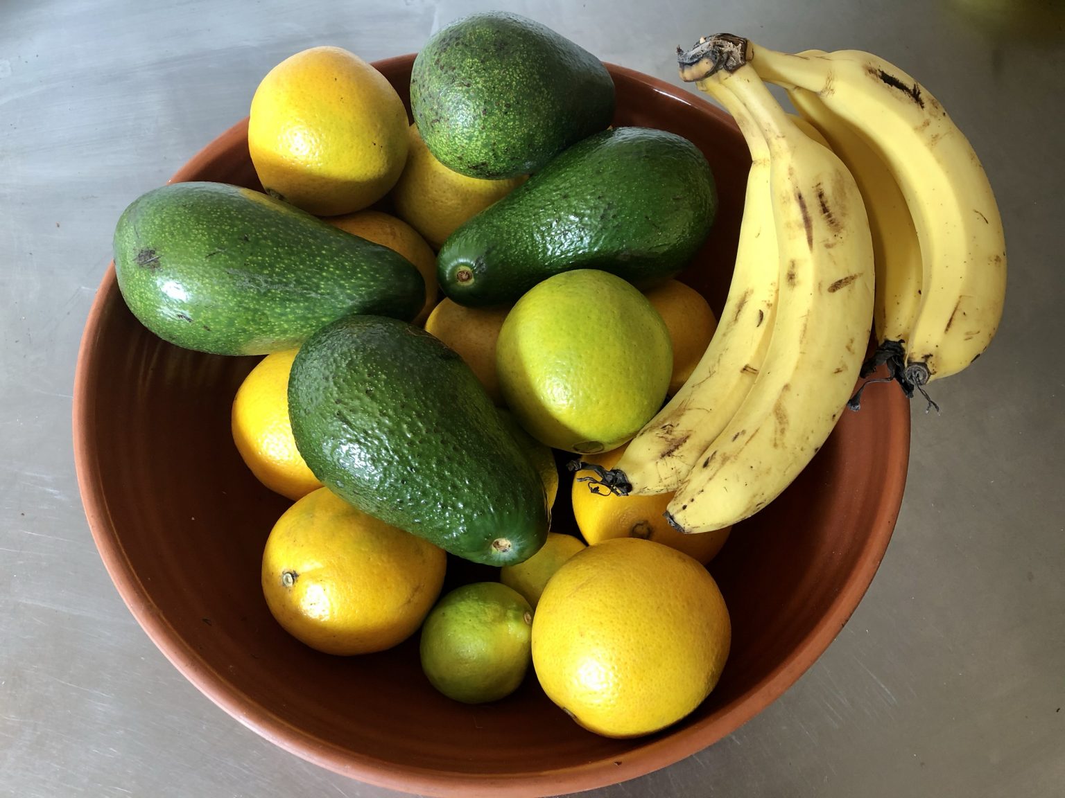 Autumn Still Life Avocado, Bananas and Oranges